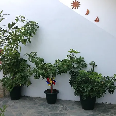 公寓 微笑一室公寓 蒂锡利维