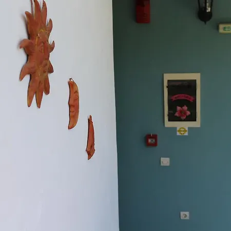 Apartamento Smile's Tsilivi (Zakynthos)