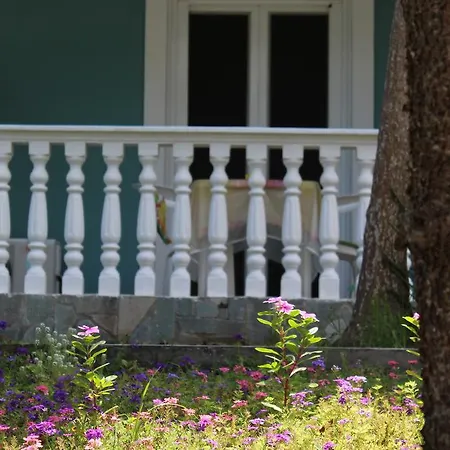 Smile's * טסיליבי