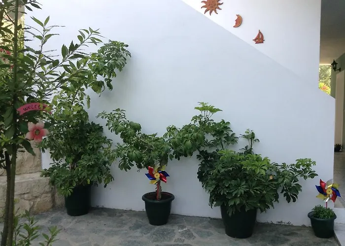 아파트 Smile's 티실리비