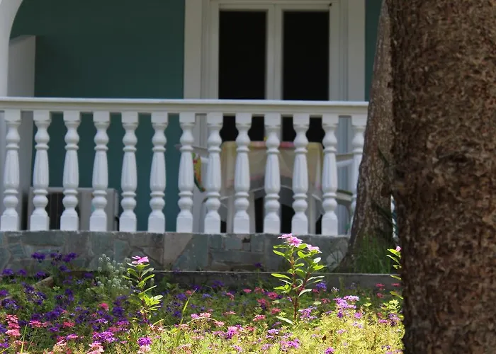 Smile's * 티실리비